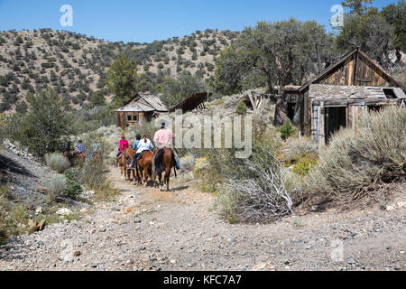 Usa, Nevada, Brunnen, Gäste können im Pferd teilnehmen Reiten Ausflüge während Ihres Aufenthaltes im Mustang Monument, einer nachhaltigen Luxus Eco friendly re Stockfoto