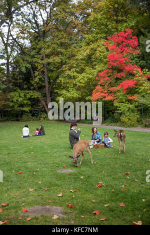 Usa, Oregon, Ashland, Familien genießen Sie ein Picknick und Wildtiere Lithia Park Stockfoto