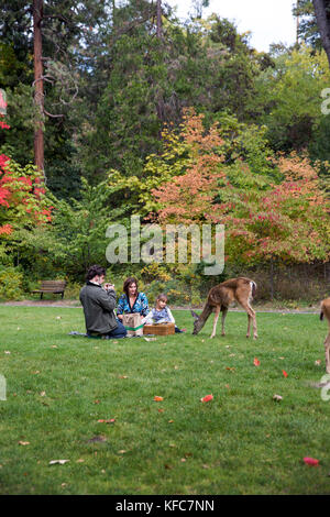 Usa, Oregon, Ashland, Familien genießen Sie ein Picknick und Wildtiere Lithia Park Stockfoto