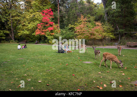 Usa, Oregon, Ashland, Familien genießen Sie ein Picknick und Wildtiere Lithia Park Stockfoto