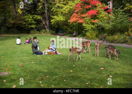 Usa, Oregon, Ashland, Familien genießen Sie ein Picknick und Wildtiere Lithia Park Stockfoto