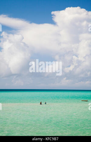 BERMUDA. Southampton Parish. Ein paar wenige im seichten Wasser. Stockfoto