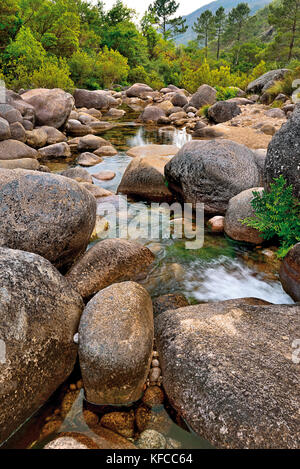 Riesige Felsen und das durchsichtige Wasser des Gebirgsflusses, der von den grünen Hügeln und den Tälern umgeben ist Stockfoto