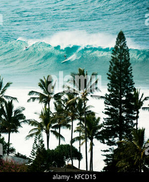 Usa, Hawaii, Oahu, Surfer einer Welle an Waimea Bucht mit Palmen im Vordergrund, North Shore Stockfoto