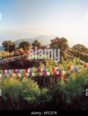 India, West Bengal, bunte Gebetsfahnen aufhängen über Bäume, Tiger Hill Stockfoto