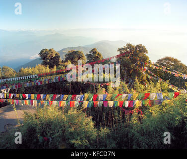 INDIA, West Bengal, bunte Gebetsfahnen aufhängen über Bäume, Tiger Hill Stockfoto