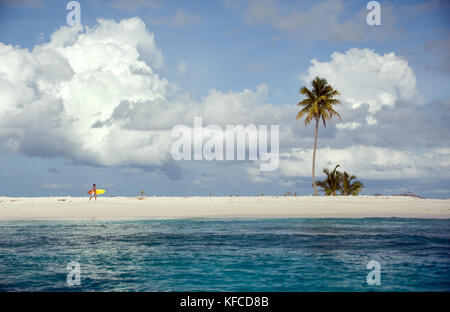 Indonesien, Mentawai Inseln, kandui Resort, Lone Surfer gehen auf eine kleine Insel mit seinem Surfbrett Stockfoto
