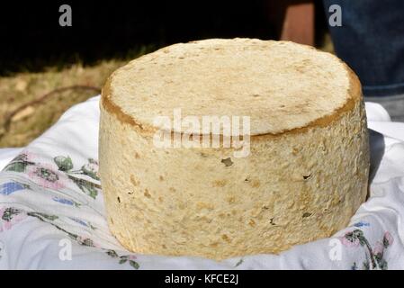 Handwerkliche ziegen Milch Käse rund durch Door County Creamery in Door County Gemeinschaft der Schwester Bay, Wisconsin, USA. Stockfoto