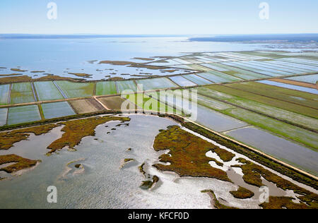 Luftaufnahme von Reisfeldern und Sümpfen entlang des Flusses Sado. Comporta, Alentejo. Portugal Stockfoto