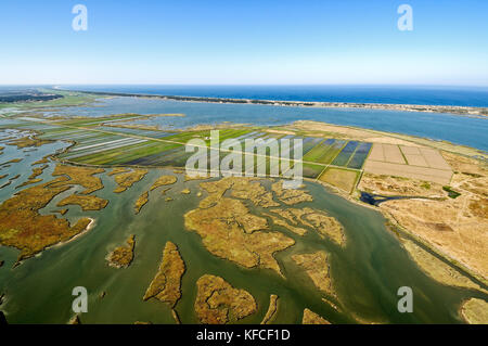 Luftaufnahme von Reisfeldern und Sümpfen entlang des Flusses Sado. Comporta, Alentejo. Portugal Stockfoto