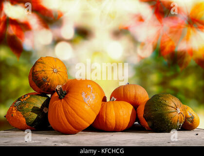 Kürbisse auf einem Tisch mit Herbst Hintergrund mit Ahorn Blätter Stockfoto
