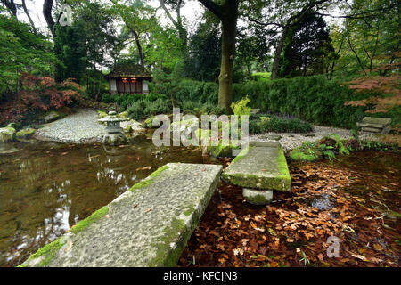 Einen schönen Garten im japanischen Stil pinetum Gärten gepflegt in St Austell Cornwall mit einem Teich und einer gepflegten Büschen und Wasserspiele im Herbst. Stockfoto