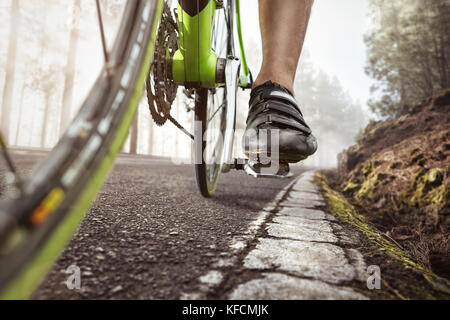 Radfahren an einem nebligen Wald Straße Stockfoto