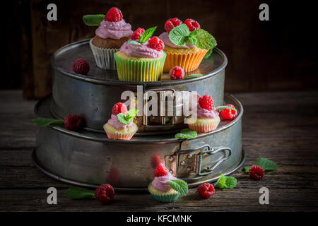 Frischer Himbeer-Cupcake mit Beeren und rosa Creme Stockfoto