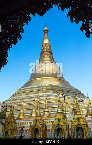 Myanmar (früher Birma). Yangon. (Rangoon). Die Shwedagon Pagode buddhistischen heiligen Ort ist die erste religiöse Zentrum von Birma Stockfoto