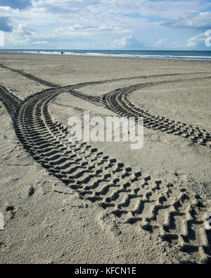 Am Strand, Langeoog. Deutschland. Deutschland. Touristen noch in der Lage sind, zu Fuß entlang der Strand während der aktiven Strand Umbau, Strandaufschüttung genießen, Spuren hinterlassen im Sand von Industriemaschinen, der die Arbeiten. Stockfoto