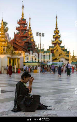 Myanmar (ehemals Burma). Yangon. (Rangun). Frau, die an der Shwedagon Pagode betet Buddhistischer heiliger Ort ist das erste religiöse Zentrum Burmas Stockfoto