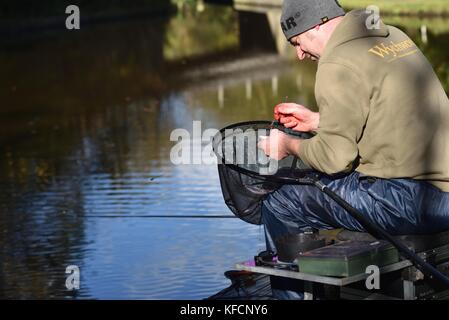 Ein Angler auf dem Gipfel Wald Canal an Whaley Bridge nimmt den Haken aus dem Mund des Roach, die er gefangen hat. Stockfoto