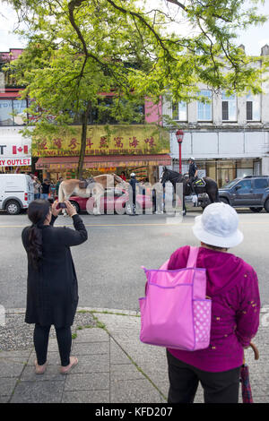 Kanada, Vancouver, British Columbia, die Damen machen Sie Fotos von der Royal Canadian Mounted Police stoppen ein Mann in seinem Auto in China Town. Stockfoto