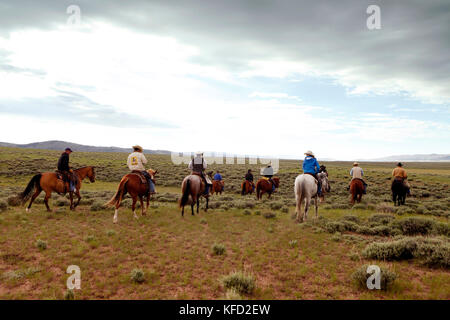 Usa, Wyoming, Lager, Cowboys reiten Sie auf dem Rücken der Pferde Rinder für ein Branding, Big Creek Ranch zu sammeln Stockfoto