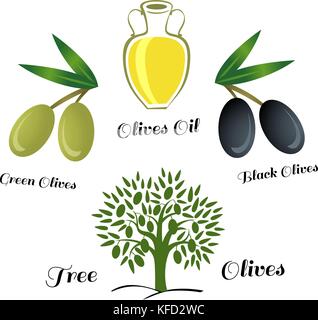 Satz von Elementen von Olivenöl. Zweig mit grünen Oliven Stock Vektor