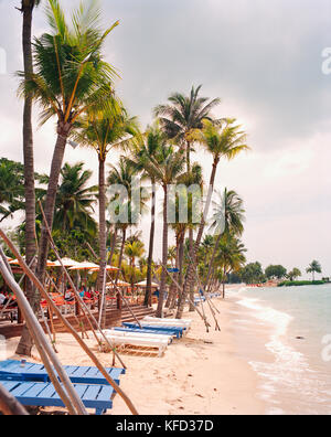 Singapur, Asien, Blick auf eine schöne Siloso Strand mit Palmen gesäumten auf Sentosa Island Stockfoto