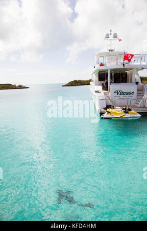 EXUMA, Bahamas. Ein Ammenhai und ein Boot in der Compass Cay Marina. Stockfoto