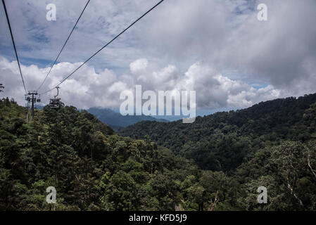 Seilbahn über den Wald Stockfoto