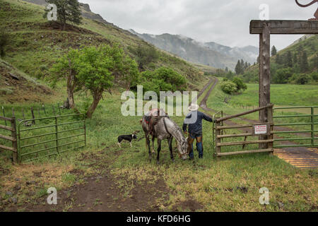 Usa, Oregon, Joseph, cowboy Todd Nash fährt obwohl die Schlucht in Richtung zu seinem Fahrzeug nach dem Umzug Rinder bis Big Sheep Creek im Regen, im Nordosten Oregon Stockfoto