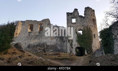 Vordere Mauer aus Stein, die Ruinen der alten Burg Samobor, Kroatien teilweise in Werk Überwucherung bei Sonnenuntergang abgedeckt Stockfoto