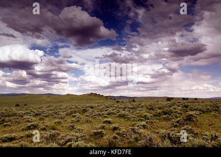 Usa, Wyoming, Lager, offene Landschaft im Sagebrush, Big Creek Ranch abgedeckt Stockfoto