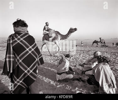 INDIEN, Rajasthan, Verkauf eines Kamels, Pushkar Camel Fair (B&W) Stockfoto
