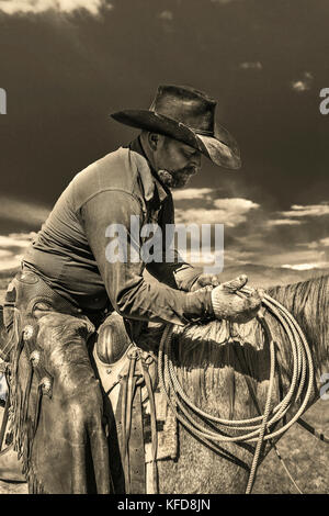 USA, Wyoming, Lager, ein Cowboy auf der Big Creek Ranch ruht sich während eines Rindermarkings (Schwarzweiß) auf seinem Pferd aus. Stockfoto