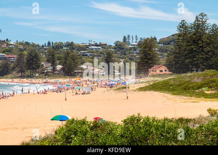 Newport Beach in Sydney, einem der berühmten nördlichen Strände in Sydney, New South Wales, Australien Stockfoto