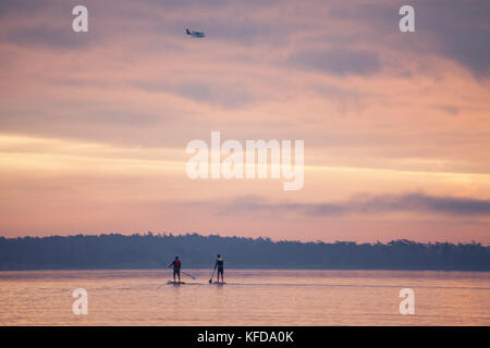 Am frühen Morgen Paddel Boarder bei Weiden Strand, Victoria BC Kanada Stockfoto