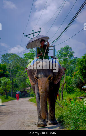 Chitwan, Nepal - November 03, 2017: unbekannter Mann reiten Elefant in Chitwan National Park Stockfoto