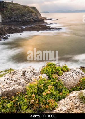 Sonnenuntergang Geschossen der Vegetation über eine Klippe Stockfoto