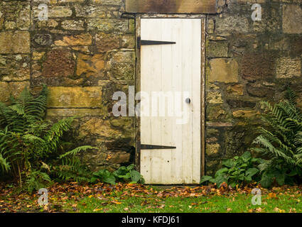 Einen alten weißen Garten lackiert Tür mit schwarzen Scharniere in einer Steinmauer mit Herbstlaub und Farne, East Lothian, Schottland, Großbritannien Stockfoto