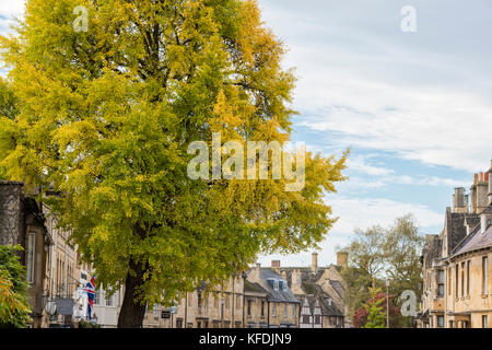 Herbst Baum und Gebäuden in der High Street. Chipping Campden, Gloucestershire, Cotswolds, England Stockfoto