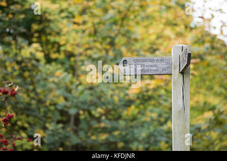 Cotswold Way Wegweiser vor Bäumen im Herbst. Chipping Campden, Gloucestershire, Cotswolds, England Stockfoto