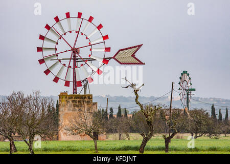 Mühle für Wasser Pumpen, Typ Molino de Ferro, Mallorca, Balearen, Spanien Isalnds Stockfoto