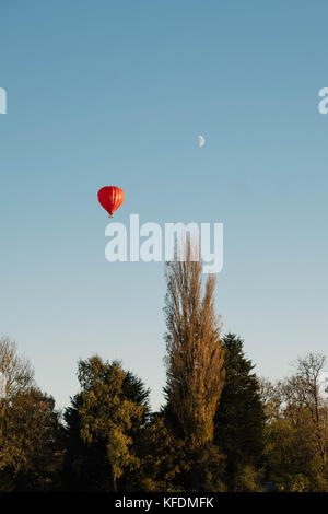 Jungfrau mit dem Heißluftballon über ein Feld von Schafen in den chilterns Landschaft, Wendover, Buckinghamshire Stockfoto