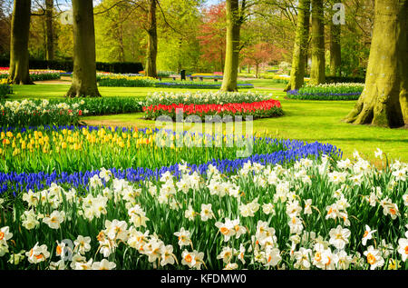 Bunte, glockenblumen Narzissen und Tulpen Blumen Blumenbeete in einem Frühling Garten, Retro getönt Stockfoto