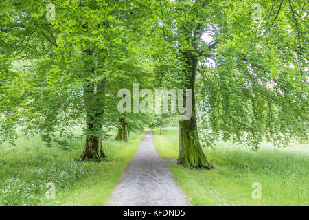 Rosendal Garten in Norwegen Stockfoto
