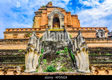 Alte Pagode in Wat Chedi Luang in Chiang Mai, Provinz von Thailand, Asien Stockfoto