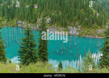 Schöne Aussicht auf den hohen blauen Bergsee Kaindi mit schwebenden trockenen Bäumen in Kasachstan, Zentralasien Stockfoto