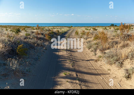 Wüste am Ufer des Meeres, Büsche, sonnigen Sommertag, Schmutz der Straße auf das Meer in der Wüste Stockfoto