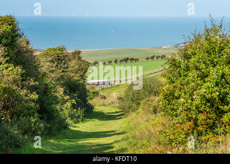 South Downs National Park Fußweg über grüne englische Landschaft in Richtung Meer und Küste Stockfoto