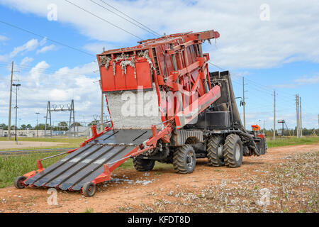 Case IH-Modul Express 635 Zurückneigen ihrer Bucht von frisch gepflückte Baumwolle Baumwolle Farm in ländlichen Alabama zu leeren. Stockfoto