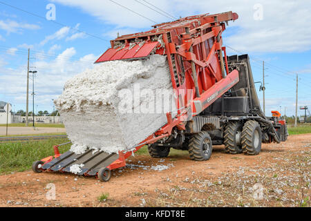 Case IH-Modul Express 635 Zurückneigen ihrer Bucht von frisch gepflückte Baumwolle Baumwolle Farm in ländlichen Alabama zu leeren. Stockfoto